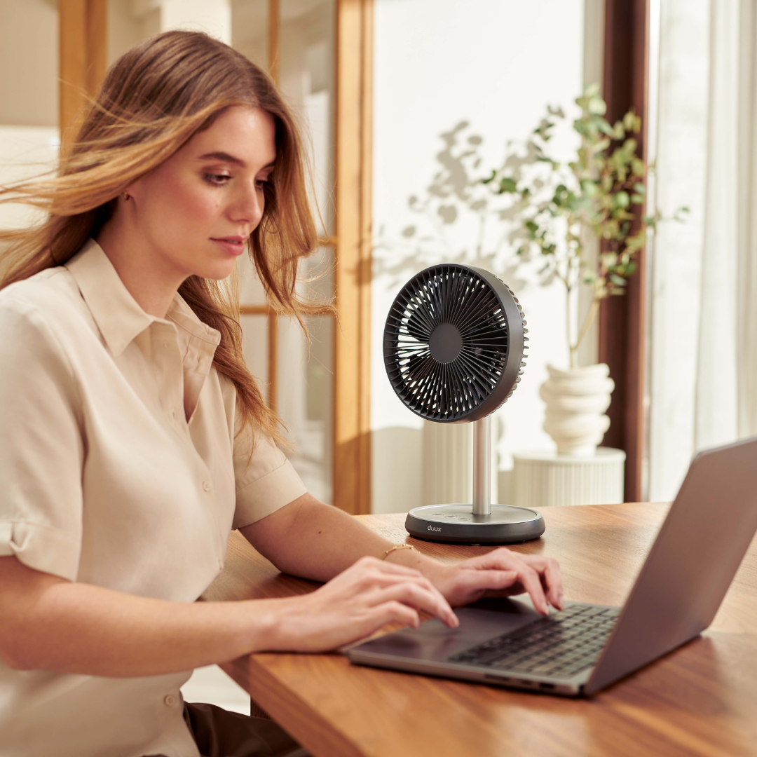 Cool It, Lads: The Fans You Actually Want This Summer