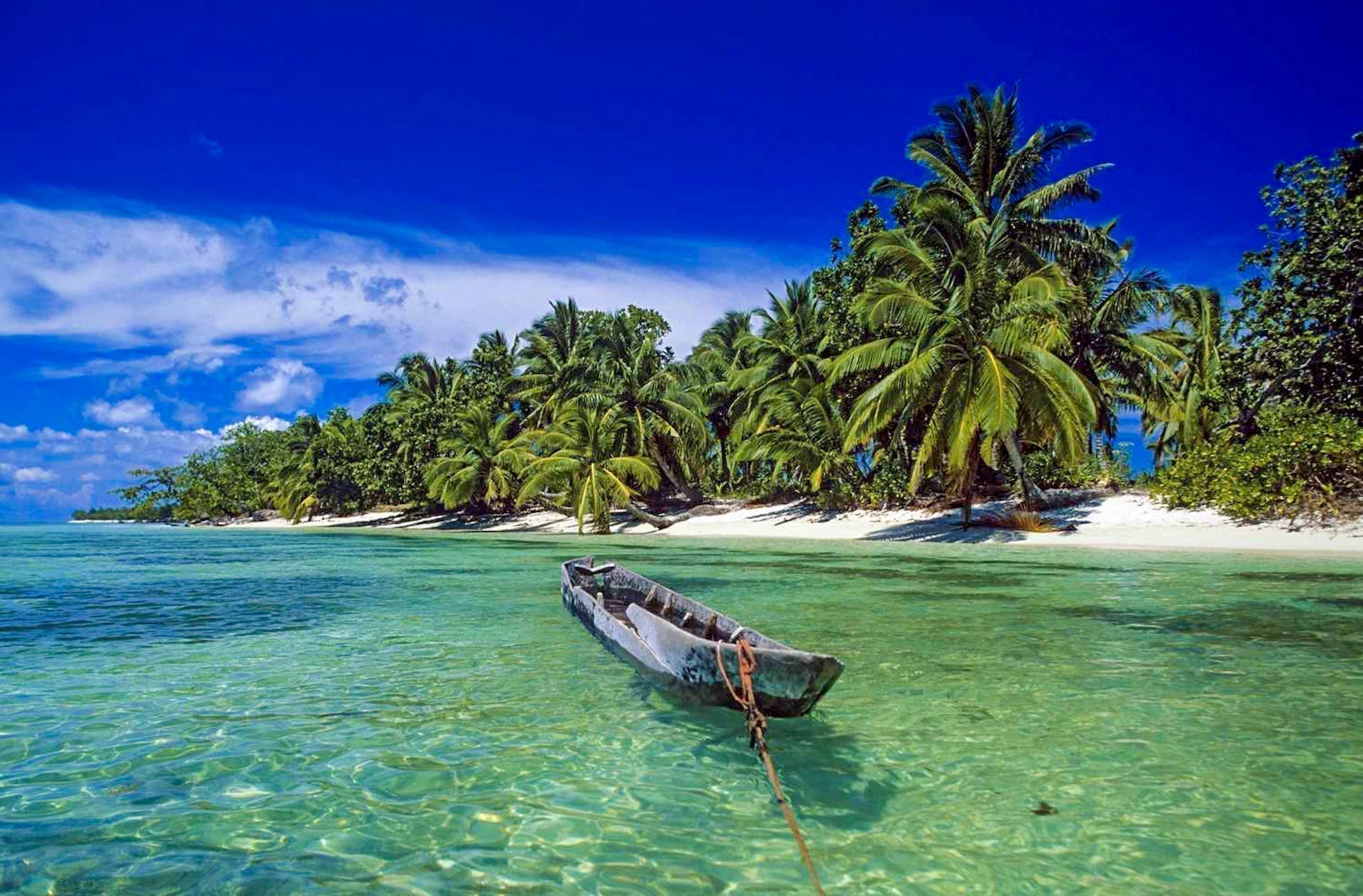 Madagascar: Wild, Weird, Wonderful.