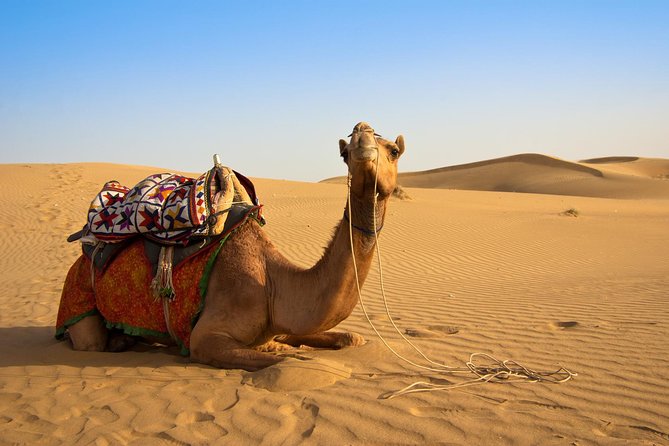 How to Do the Omani Desert Right