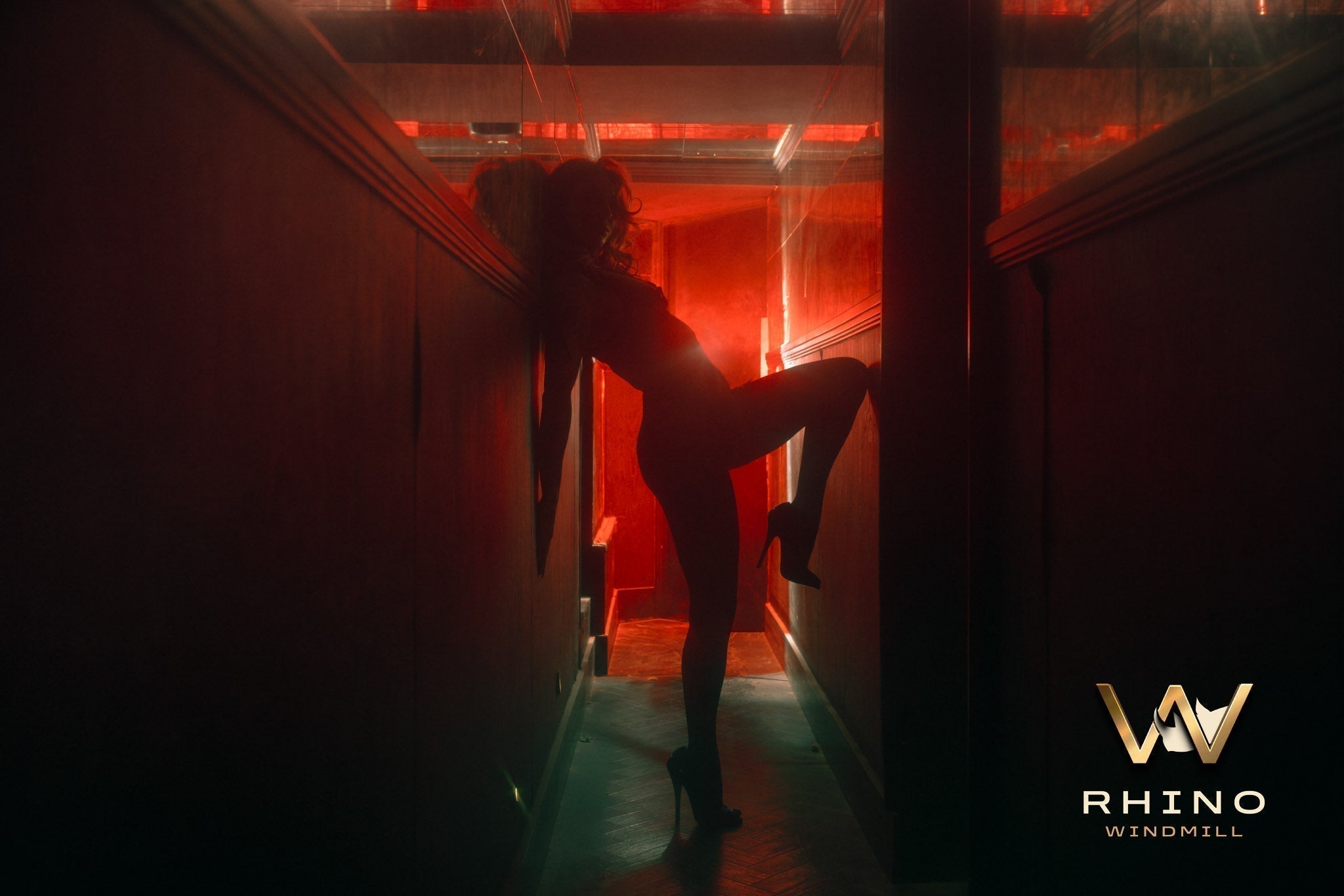 RHINO WINDMILL RISES FROM THE ASHES