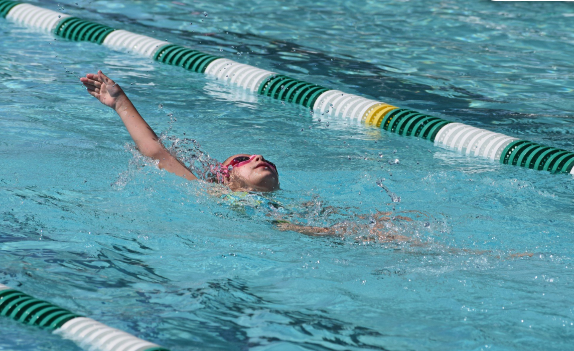 The Ultimate Survival Skill: Why Water Competence is a High-Performance Essential