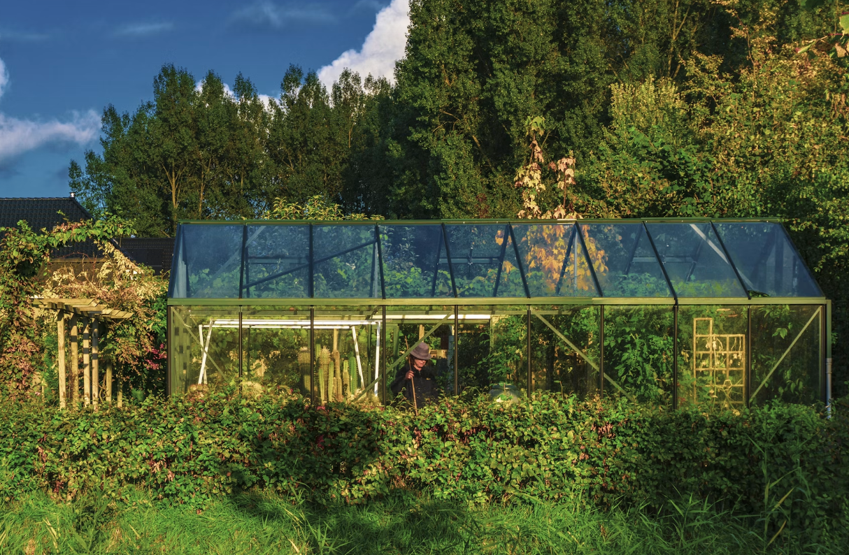 How to Start and Maintain a Successful Greenhouse Garden